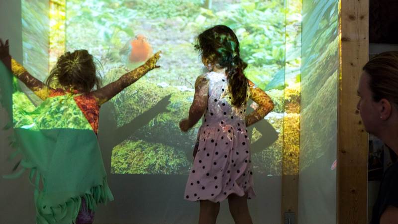 Skugglekar. Skugglekar.